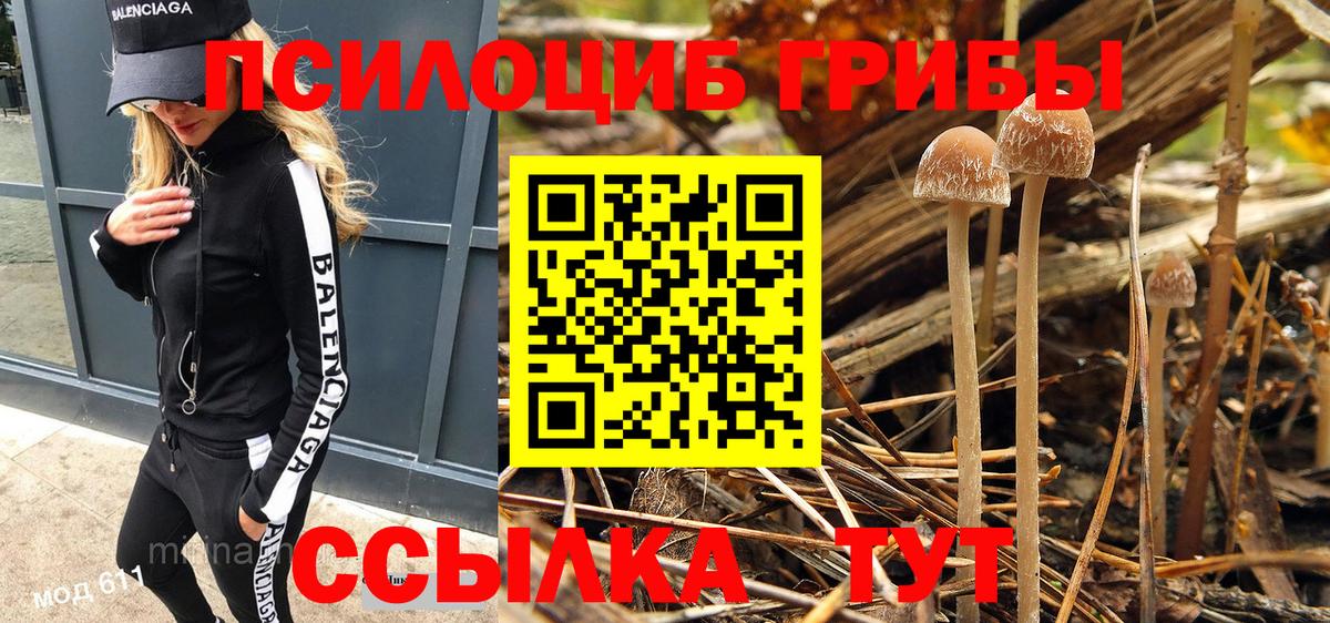 Кимовск  Псилоцибиновые грибы Magic Shrooms  Вход с VPN  Псилоцибиновые грибы мицелий 