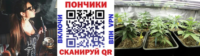 Шишки марихуана Amnesia  кракен как войти  Кимовск  где продают наркотики 